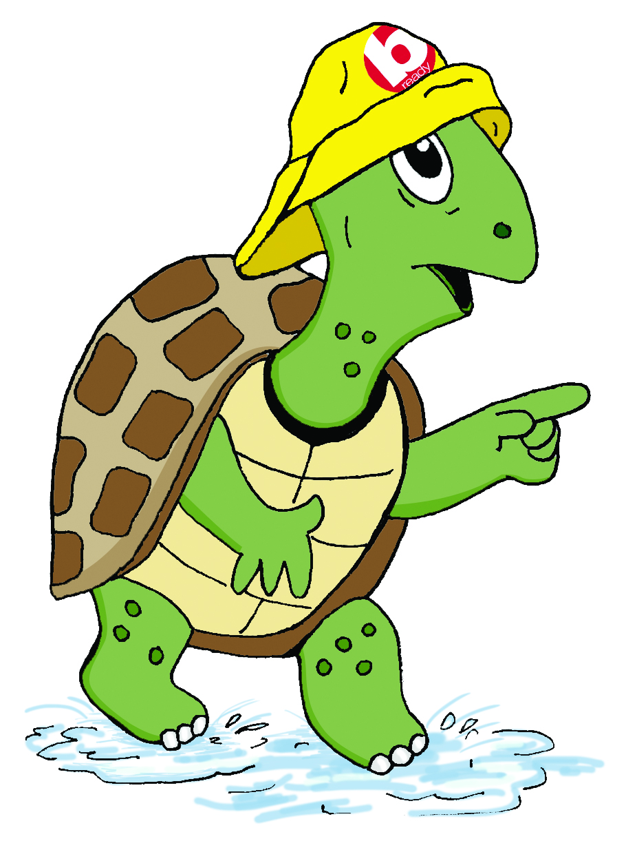 Tommy the Turtle